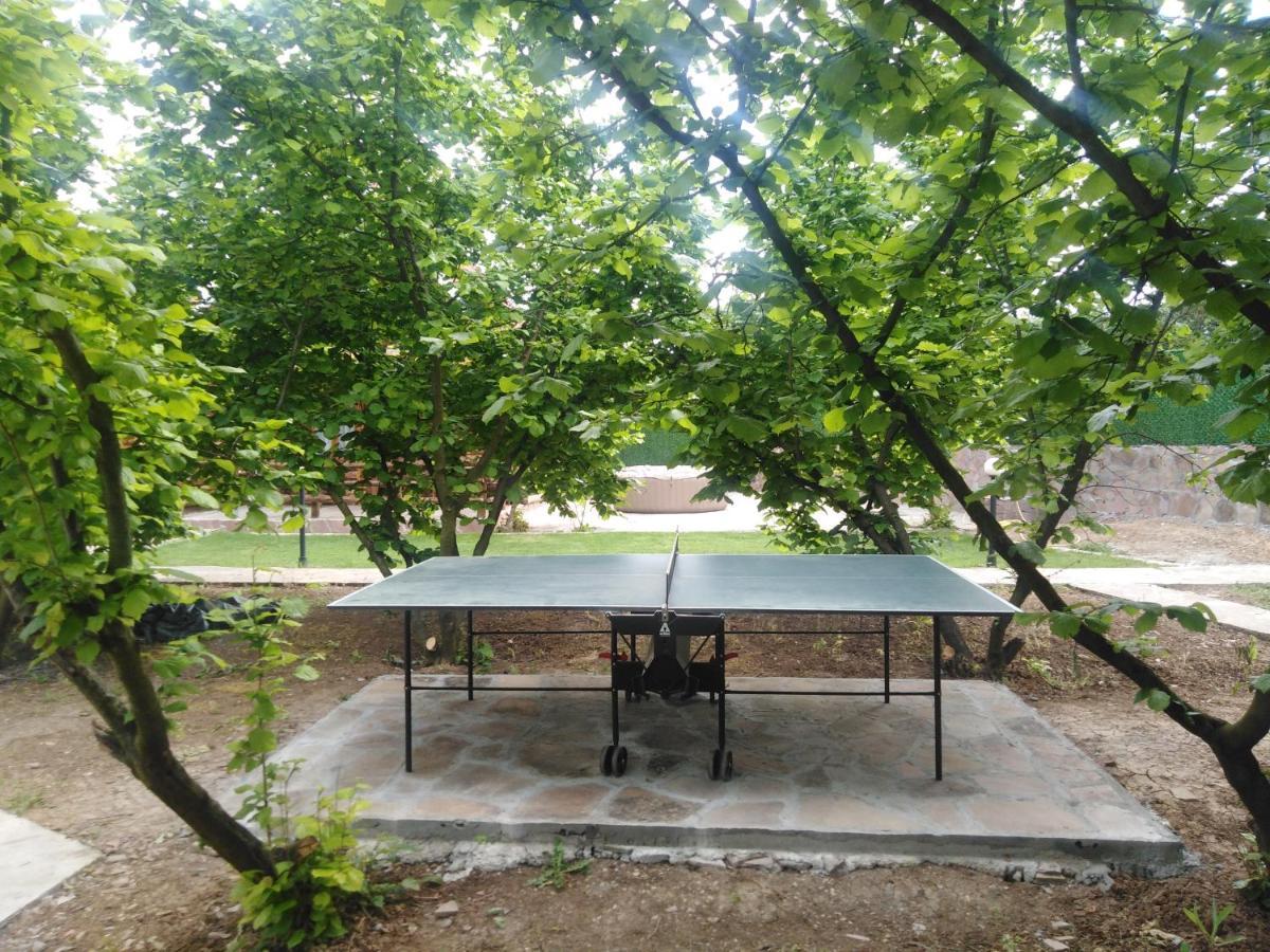 Vila Viktori Pirot Esterno foto